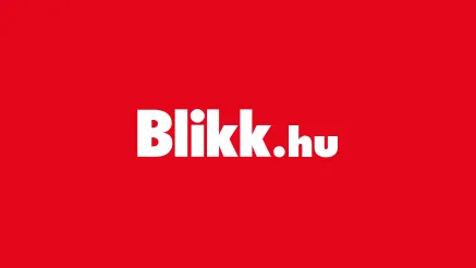 blikk-backlink-cikk-vasarlas